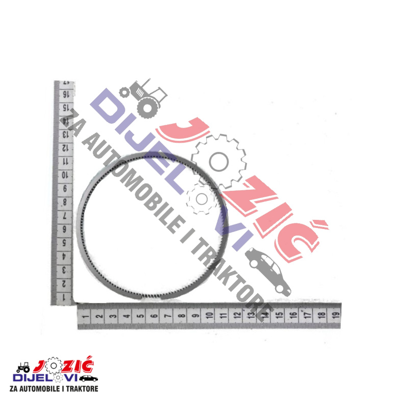 Daisy on the Ohoopee